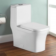 Dual Flush Siphonic One-piece Toilet (DK-ZBQ-12044)