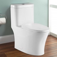 Dual Flush Siphonic One-piece Toilet (DK-ZBQ-12243)