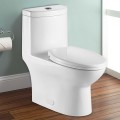 Dual Flush Siphonic One-piece Toilet (DK-ZBQ-12244)