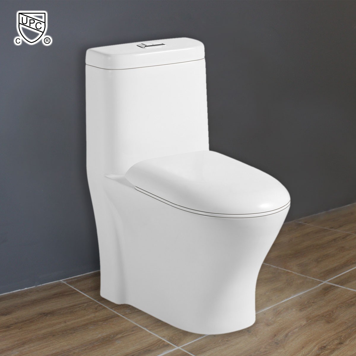 Toilette Monopièce Économique d'Eau en Céramique à Action Siphonique (DK-ZBQ-12219)