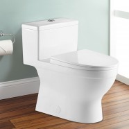 Toilette Monopièce à Double Chasse (DK-ZBQ-12234C)