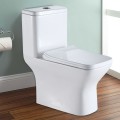 Toilette Monobloc en céramique à économie d'eau à Double Chasse (DK-ZBQ-12248A)